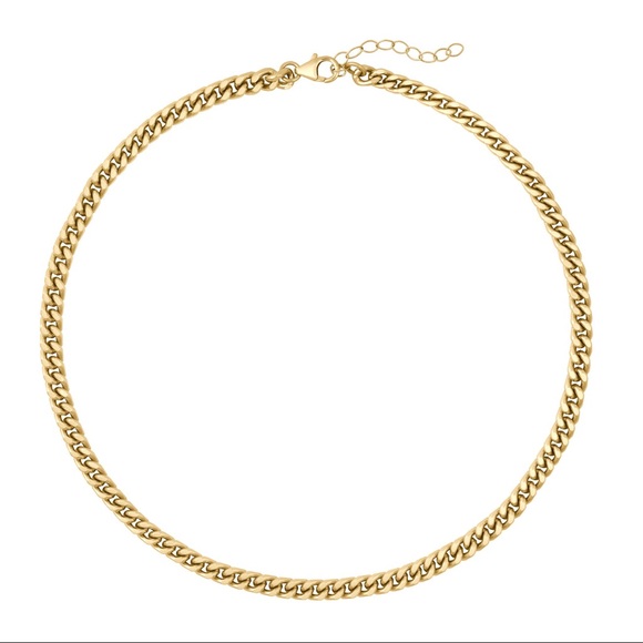 Electric Picks Jewelry Jewelry - Electric Picks ⚡️ gold plated Leo necklace